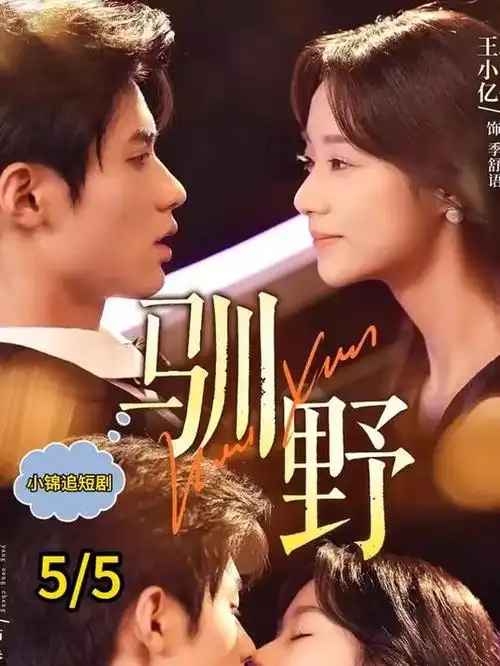 阳光电影网港剧霓虹旧梦海报